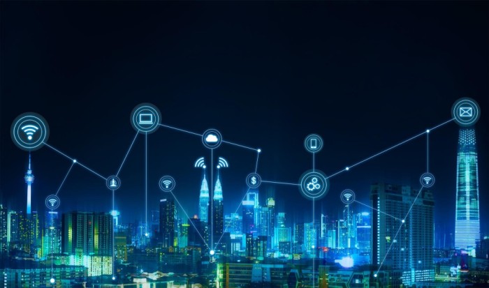 Portfolio showcase image 10